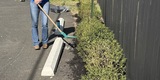 Good Neighbors Committee mulching project with Foothills Housing