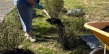 Good Neighbors Committee mulching project with Foothills Housing