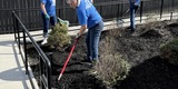 Good Neighbors Committee mulching project with Foothills Housing