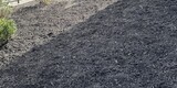 Good Neighbors Committee mulching project with Foothills Housing