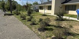 Good Neighbors Committee mulching project with Foothills Housing