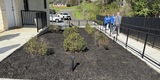 Good Neighbors Committee mulching project with Foothills Housing