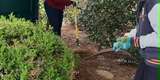 May 2 Madison Day- Greater Piedmont REALTORS® (GPR) Lend a Helping Hand to Madison County Families